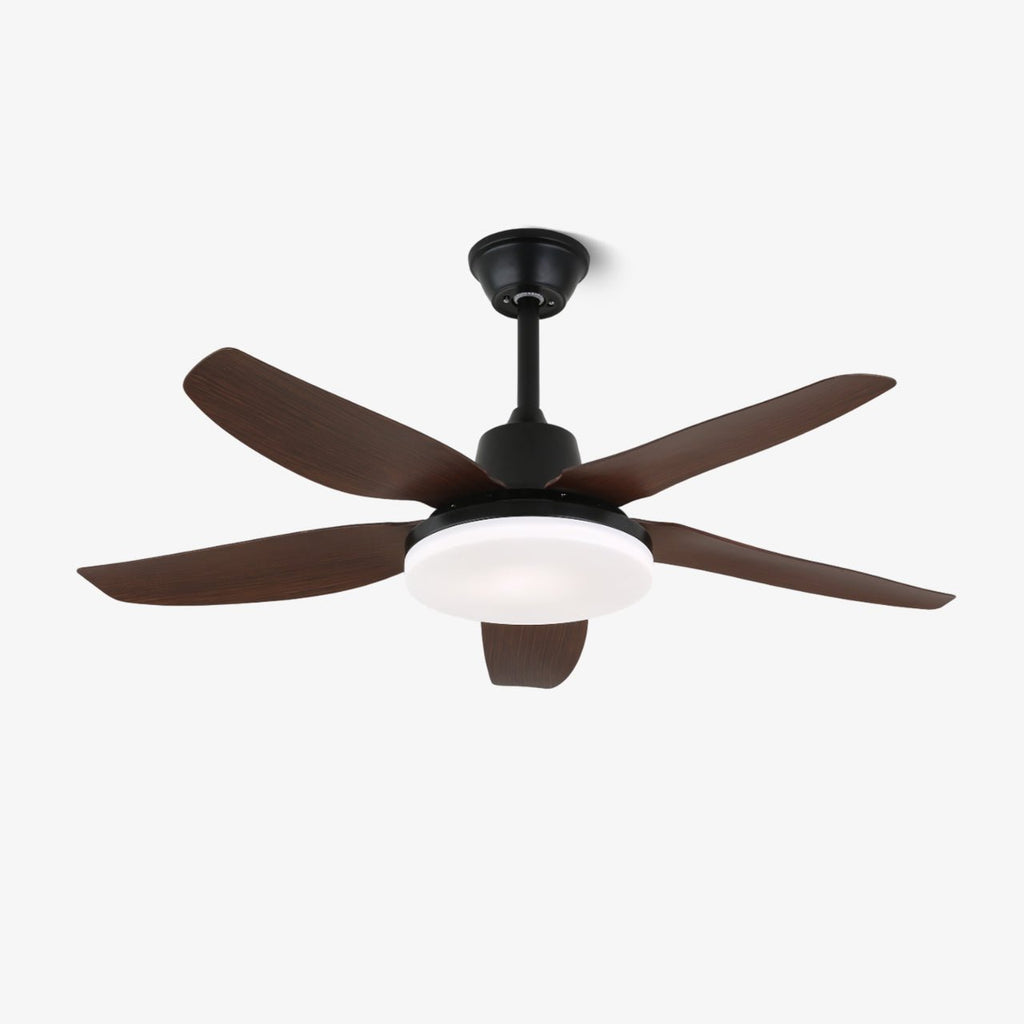 Felix Ceiling Fan Light — product view 1