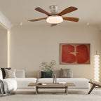 Liam Ceiling Fan Light — product view 3