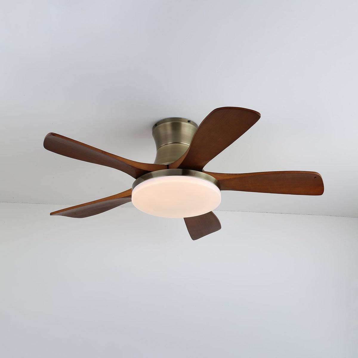 Liam Ceiling Fan Light — product view 7