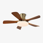 Liam Ceiling Fan Light — product view 1