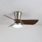 Lirien Ceiling Fan Light — product view 9