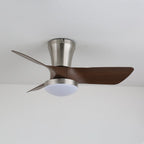 Lirien Ceiling Fan Light — product view 2