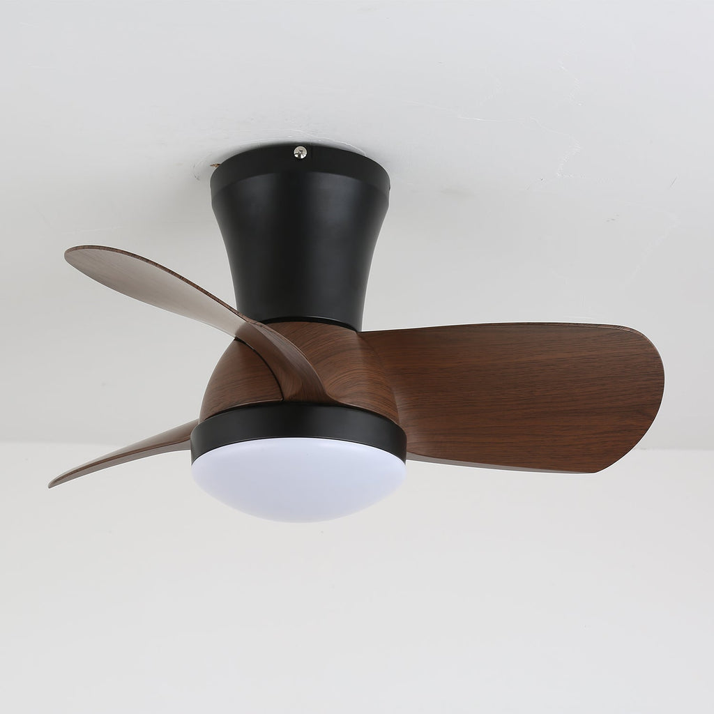 Miro Ceiling Fan Light — product view 8