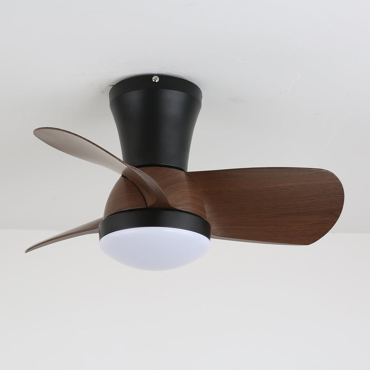 Miro Ceiling Fan Light — product view 8