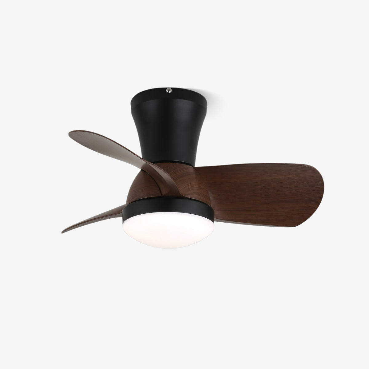 Miro Ceiling Fan Light — product view 1