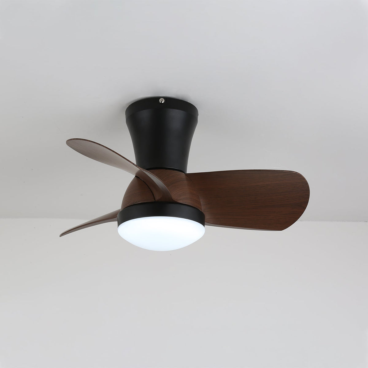 Miro Ceiling Fan Light — product view 2