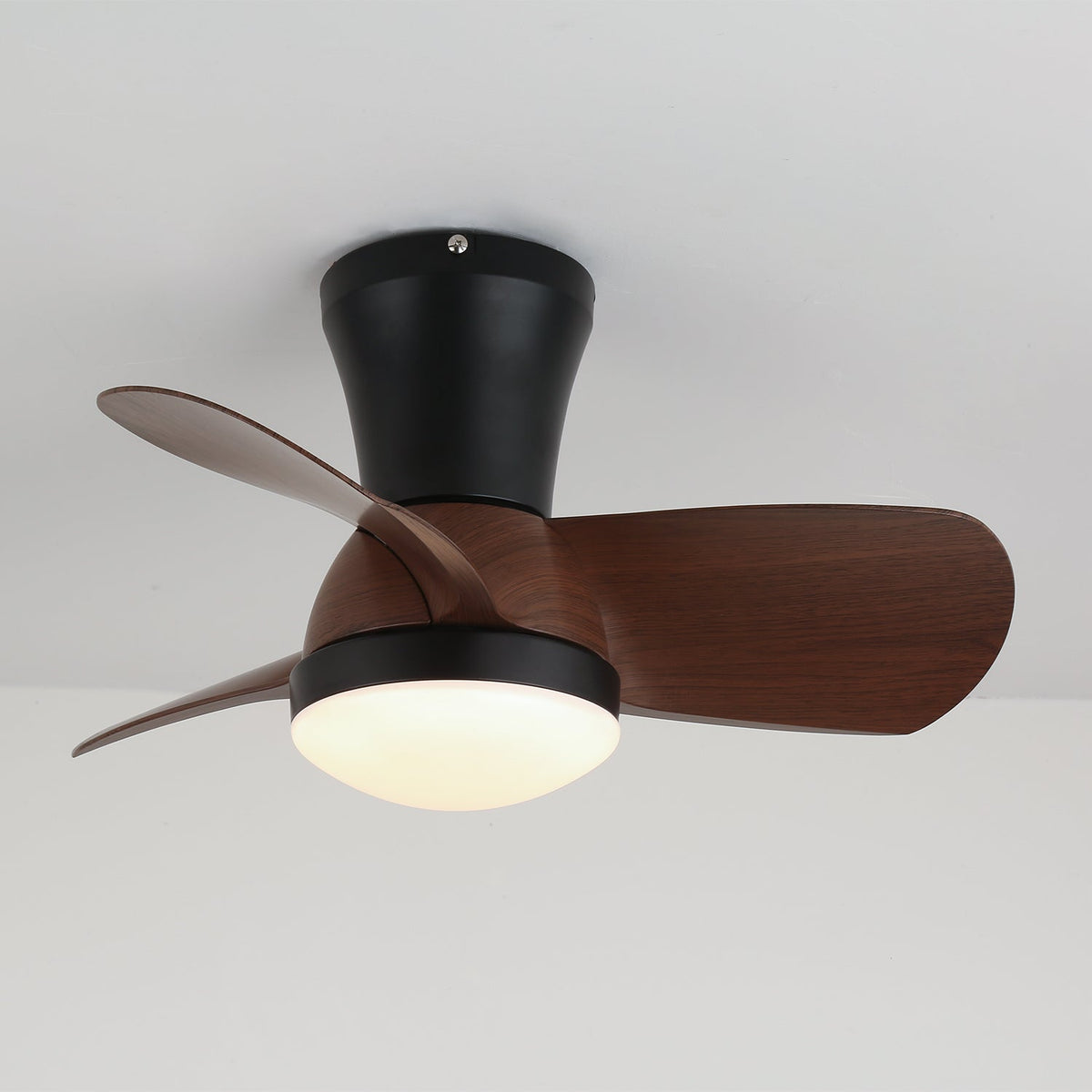 Miro Ceiling Fan Light — product view 4