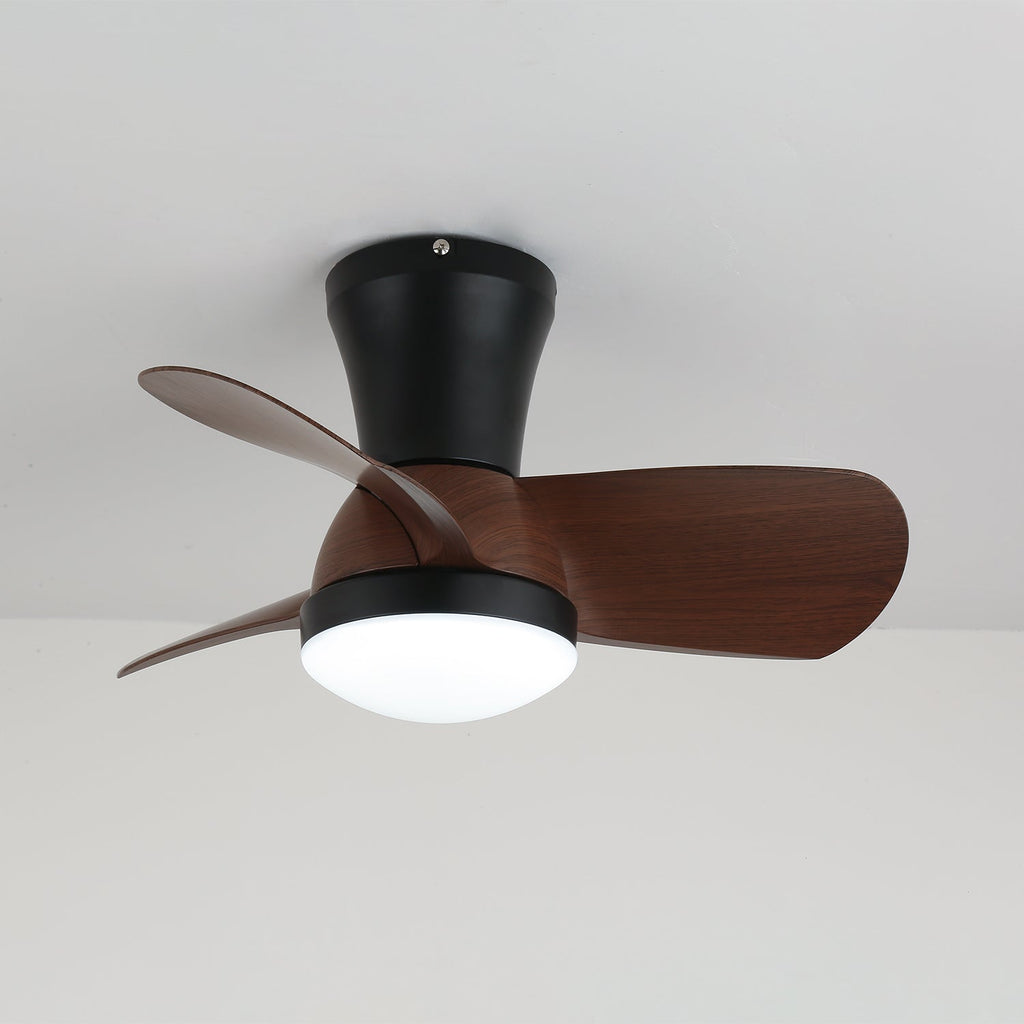 Miro Ceiling Fan Light — product view 5
