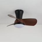Miro Ceiling Fan Light — product view 6