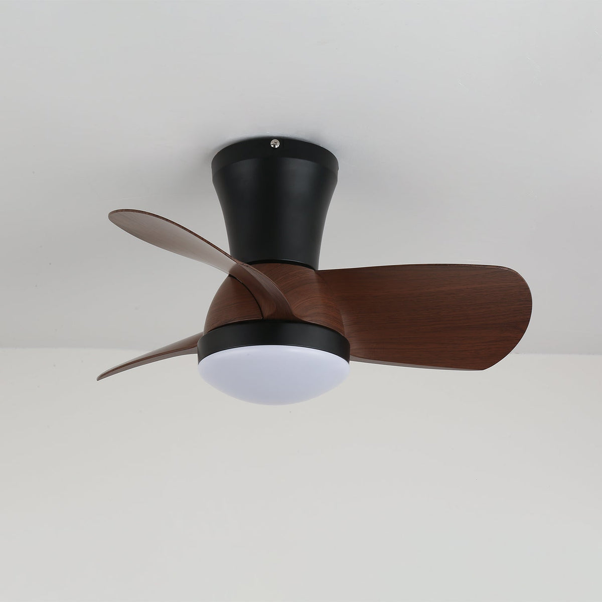 Miro Ceiling Fan Light — product view 6
