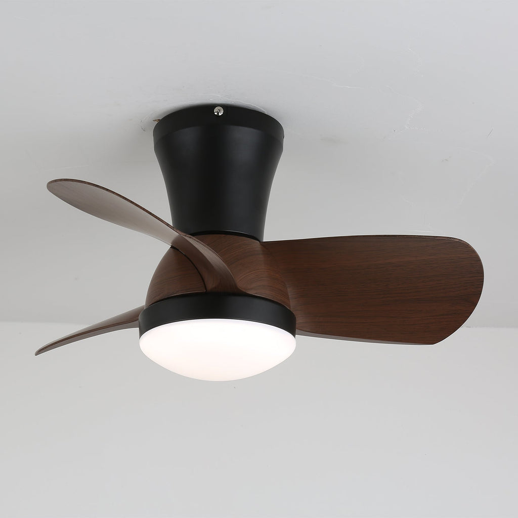 Miro Ceiling Fan Light — product view 7