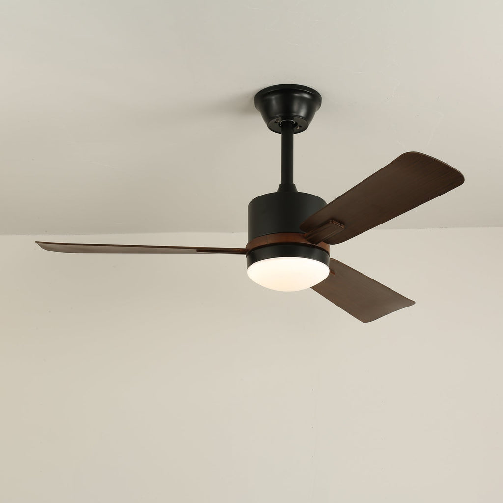 Nimora Ceiling Fan Light — product view 14