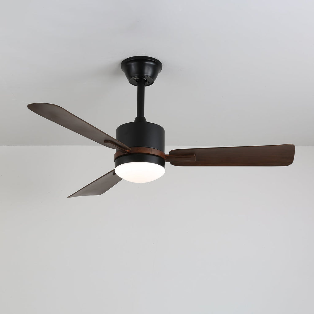 Nimora Ceiling Fan Light — product view 10