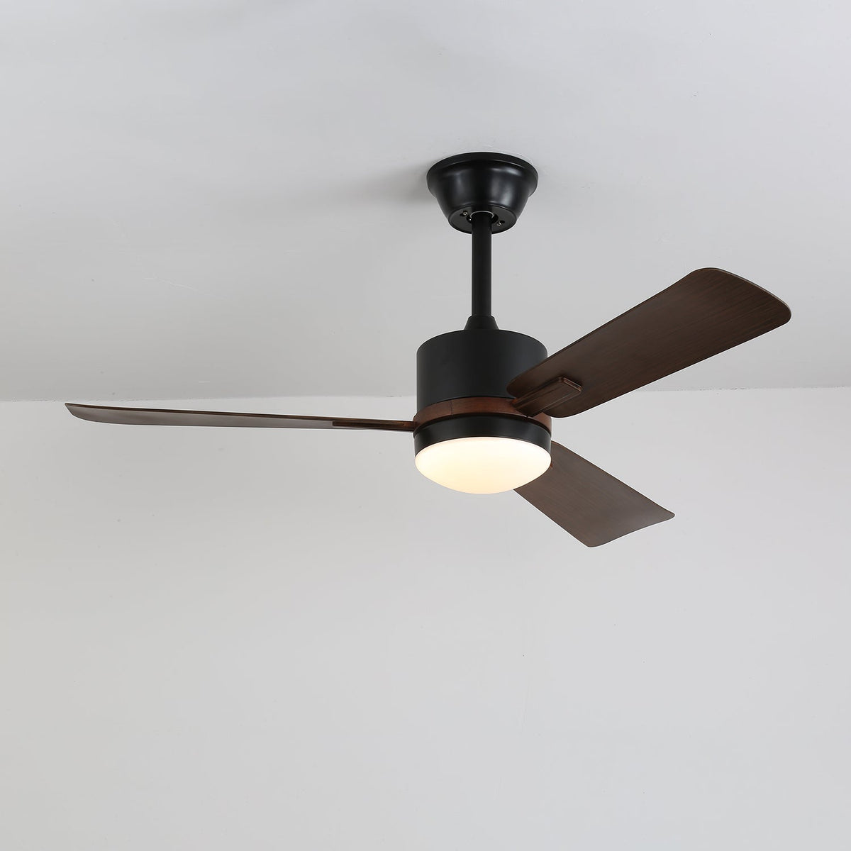 Nimora Ceiling Fan Light — product view 11