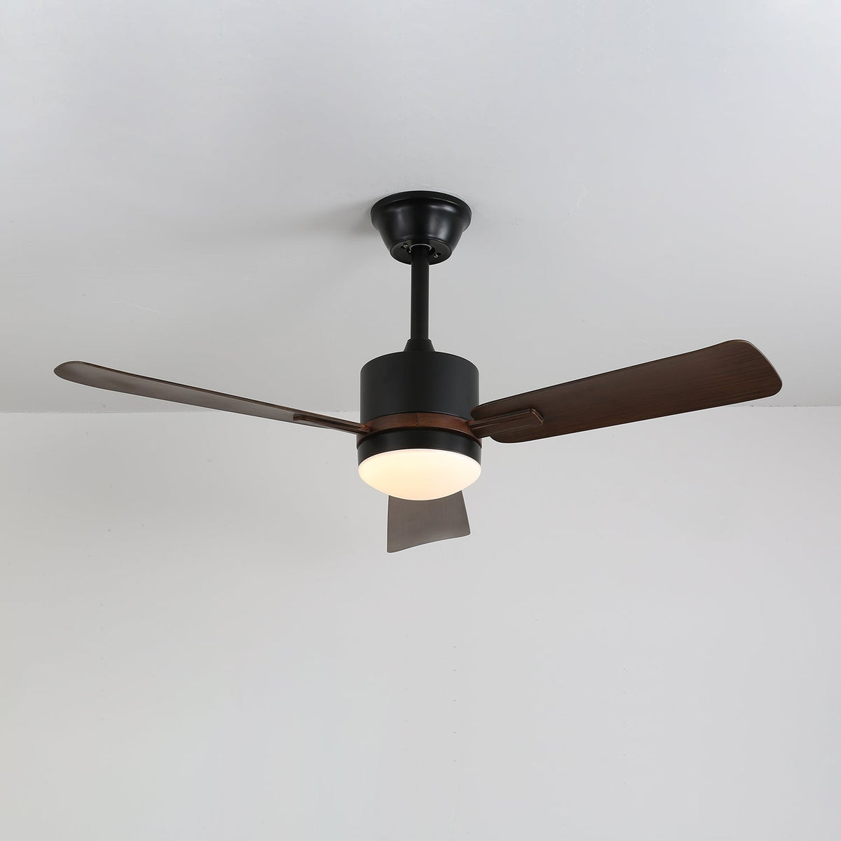 Nimora Ceiling Fan Light — product view 13