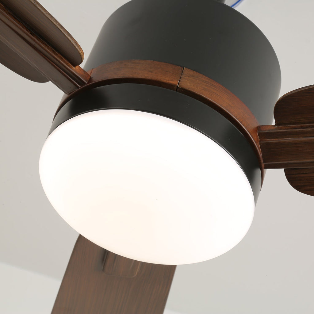 Nimora Ceiling Fan Light — product view 5