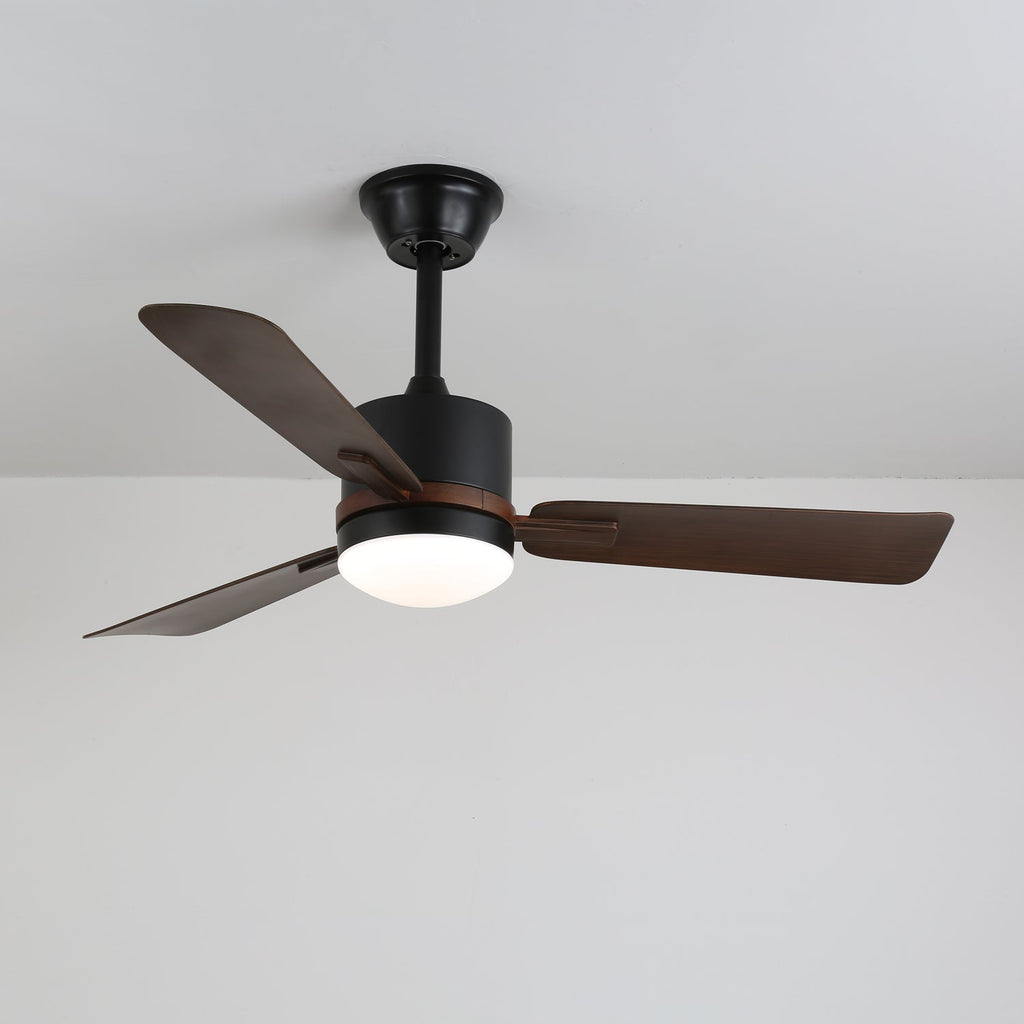 Nimora Ceiling Fan Light — product view 7