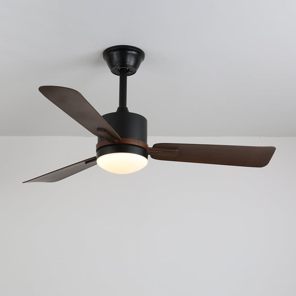 Nimora Ceiling Fan Light — product view 8