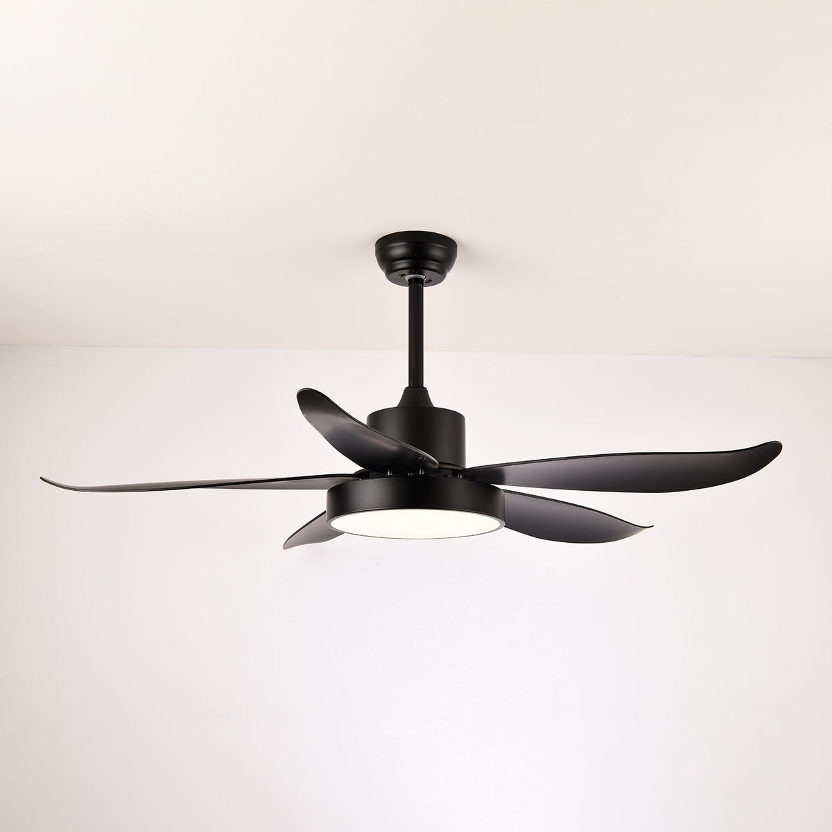Noctura Glide Ceiling Fan Light — product view 9