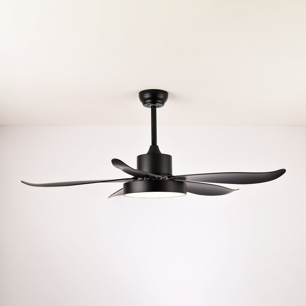 Noctura Glide Ceiling Fan Light — product view 6