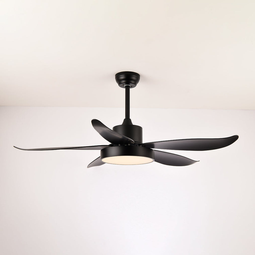 Noctura Glide Ceiling Fan Light — product view 7