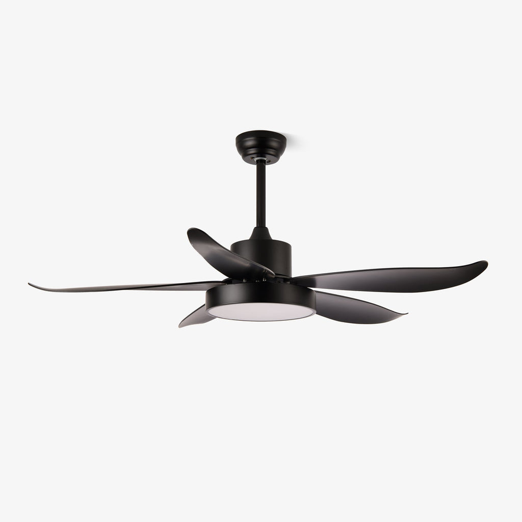 Noctura Glide Ceiling Fan Light — product view 1