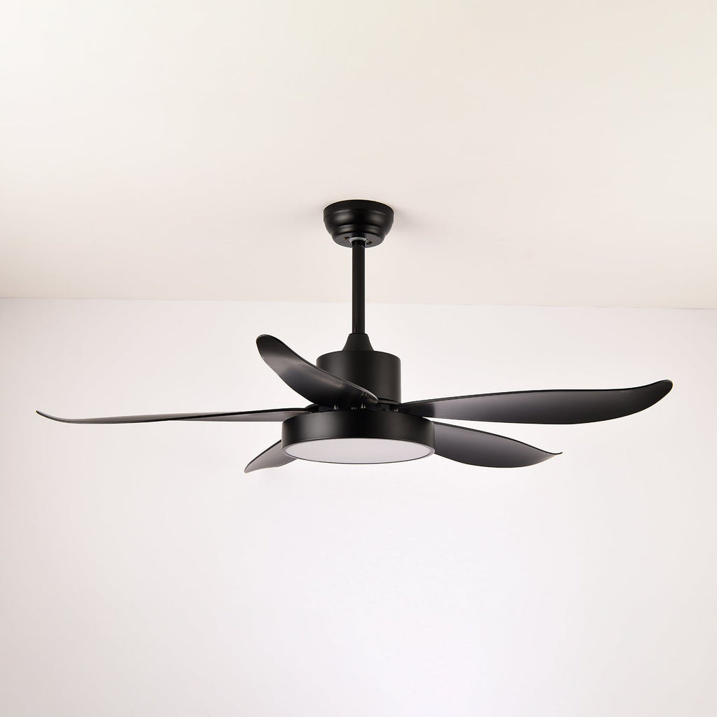 Noctura Glide Ceiling Fan Light — product view 8