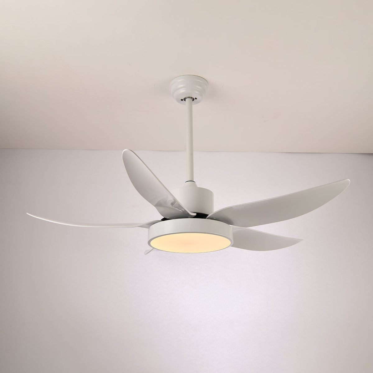 Noctura Glide Ceiling Fan Light — product view 10