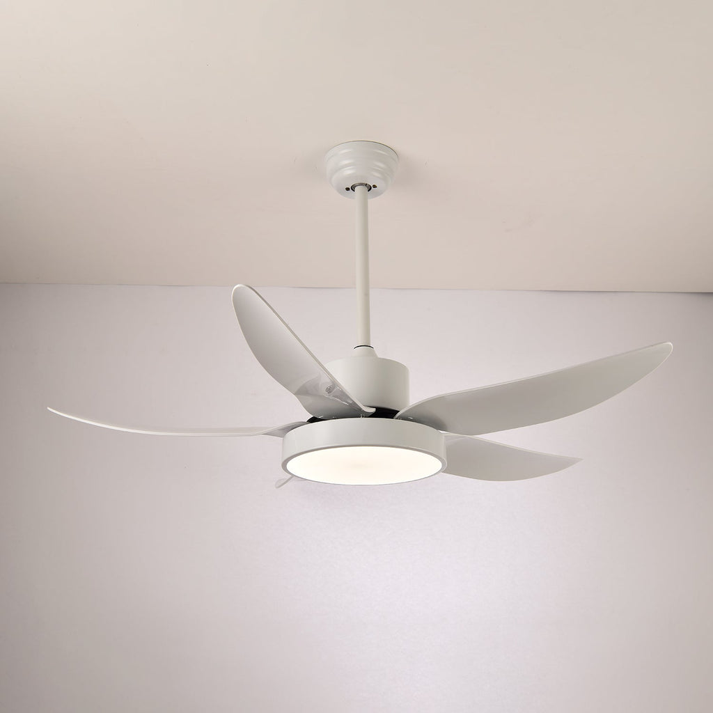 Noctura Glide Ceiling Fan Light — product view 11