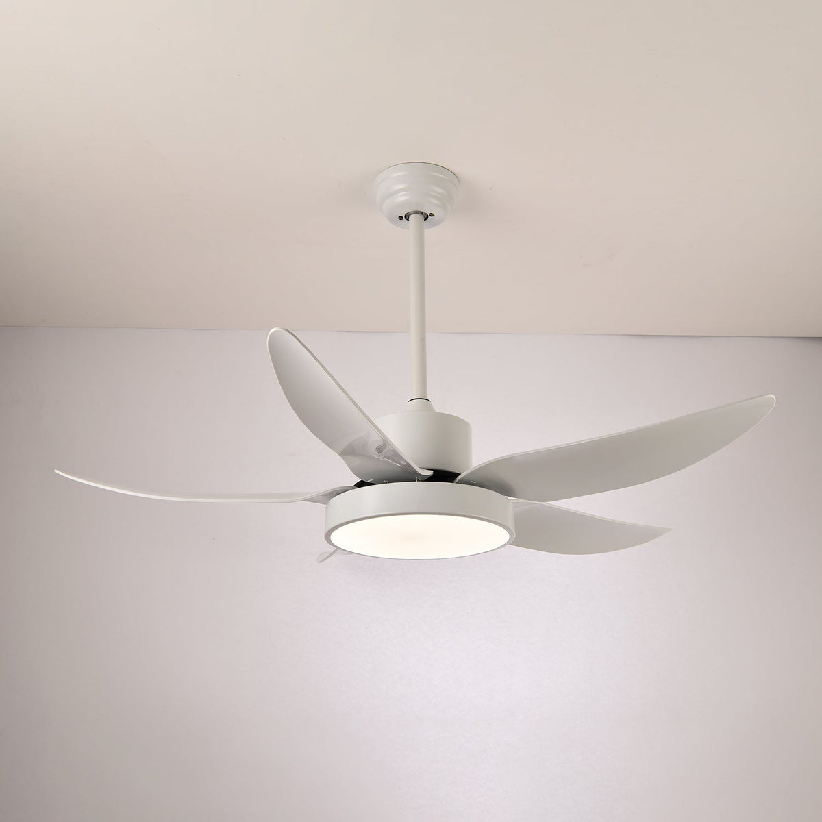 Noctura Glide Ceiling Fan Light — product view 11