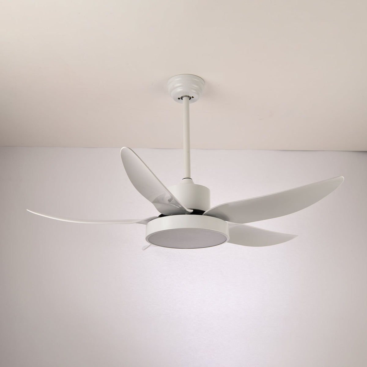 Noctura Glide Ceiling Fan Light — product view 12