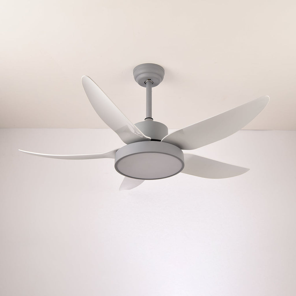 Noctura Glide Ceiling Fan Light — product view 13