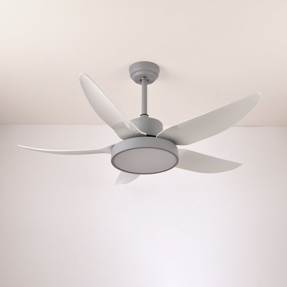Noctura Glide Ceiling Fan Light — product view 13