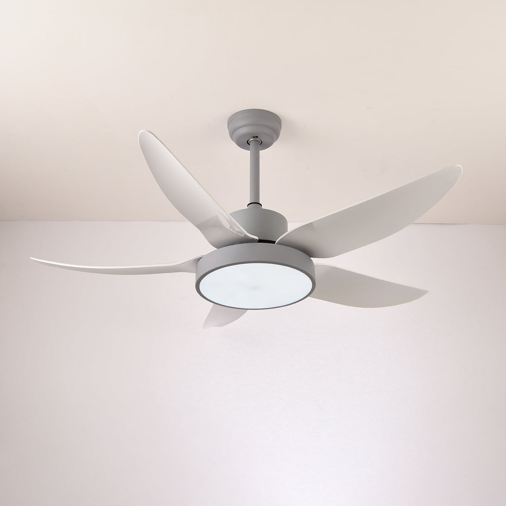 Noctura Glide Ceiling Fan Light — product view 14