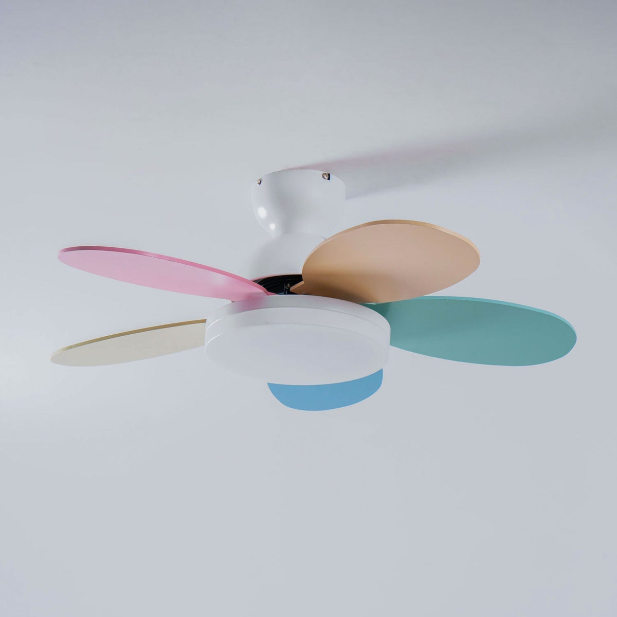 Petalo Ceiling Fan Light — product view 35
