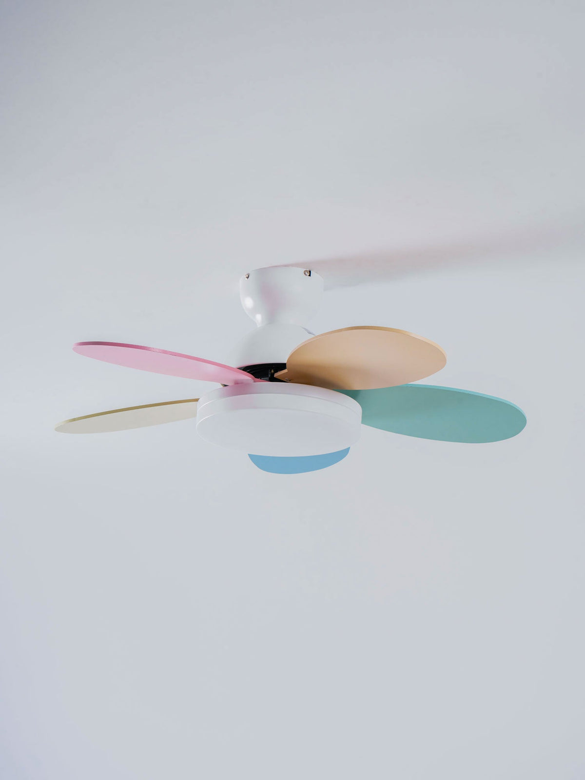 Petalo Ceiling Fan Light — product view 36
