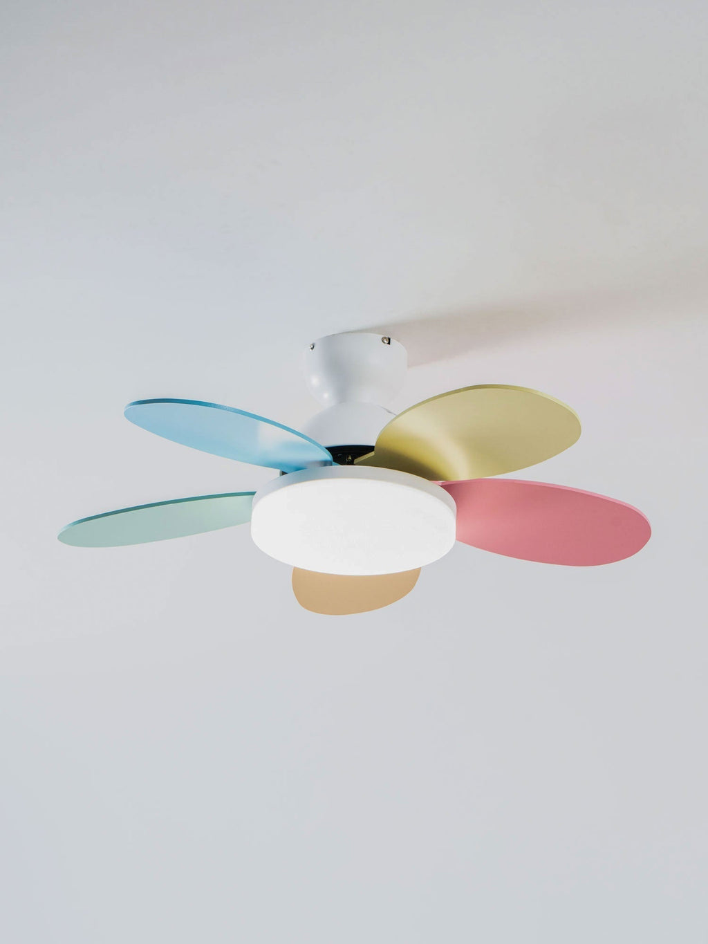 Petalo Ceiling Fan Light — product view 37