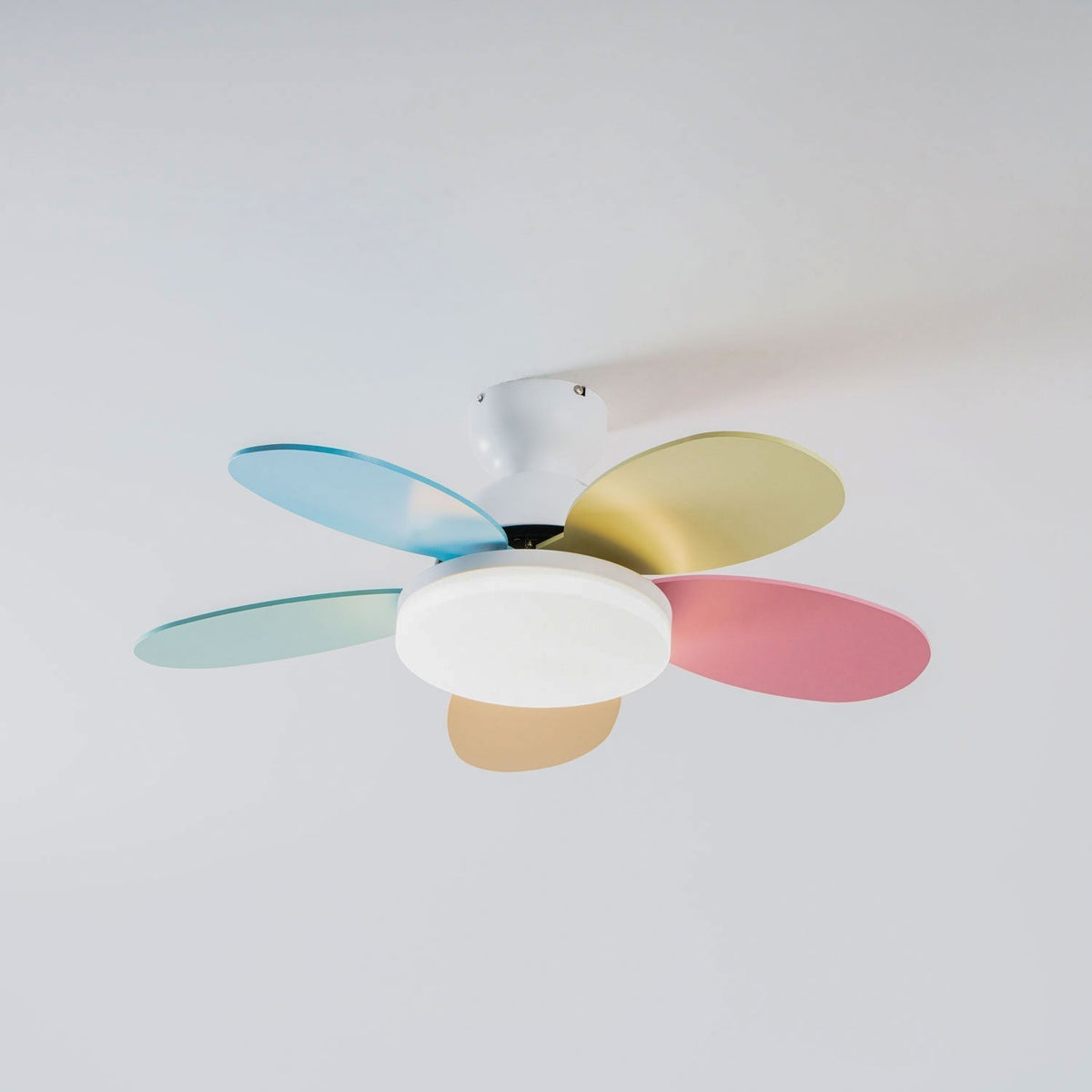 Petalo Ceiling Fan Light — product view 38
