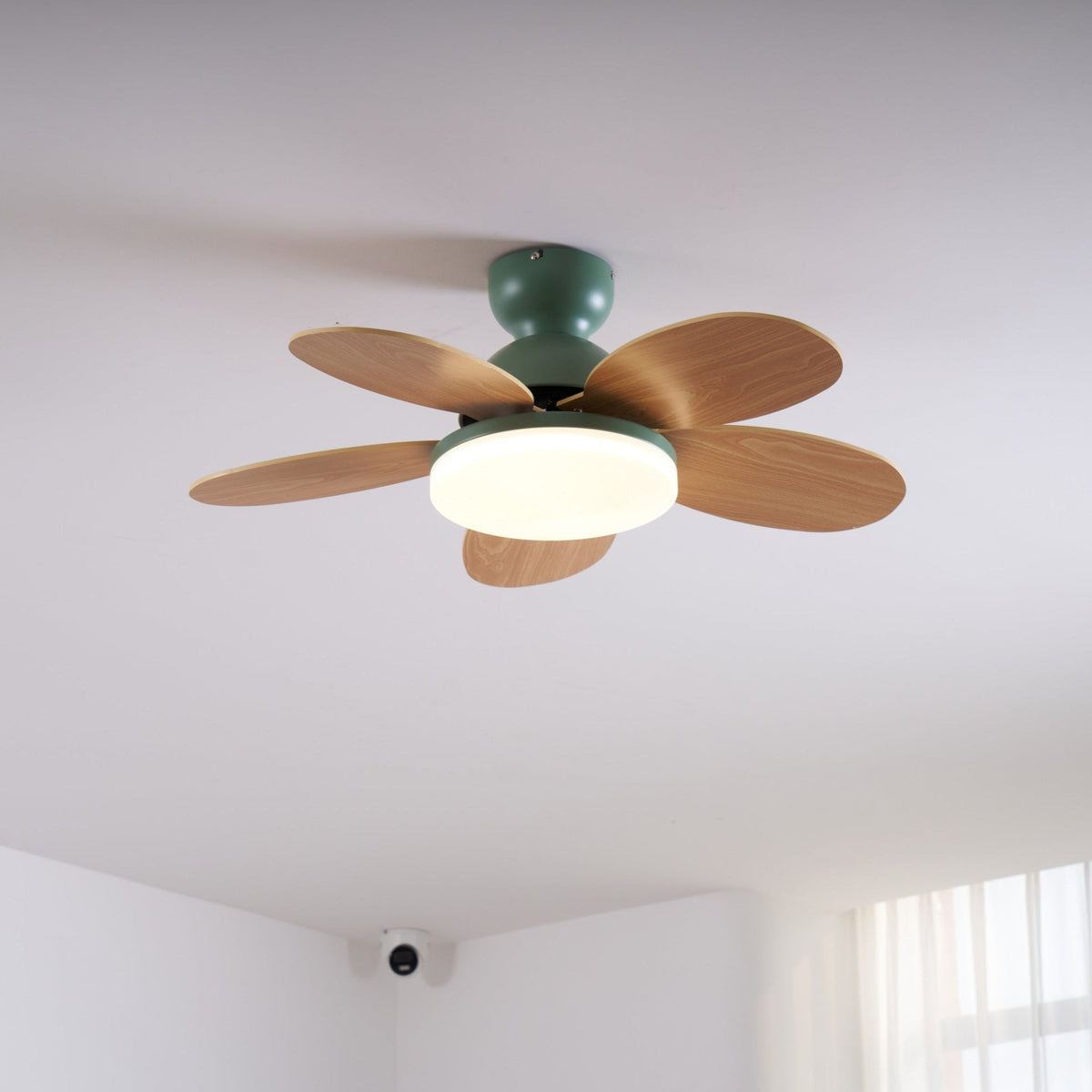 Petalo Ceiling Fan Light — product view 17