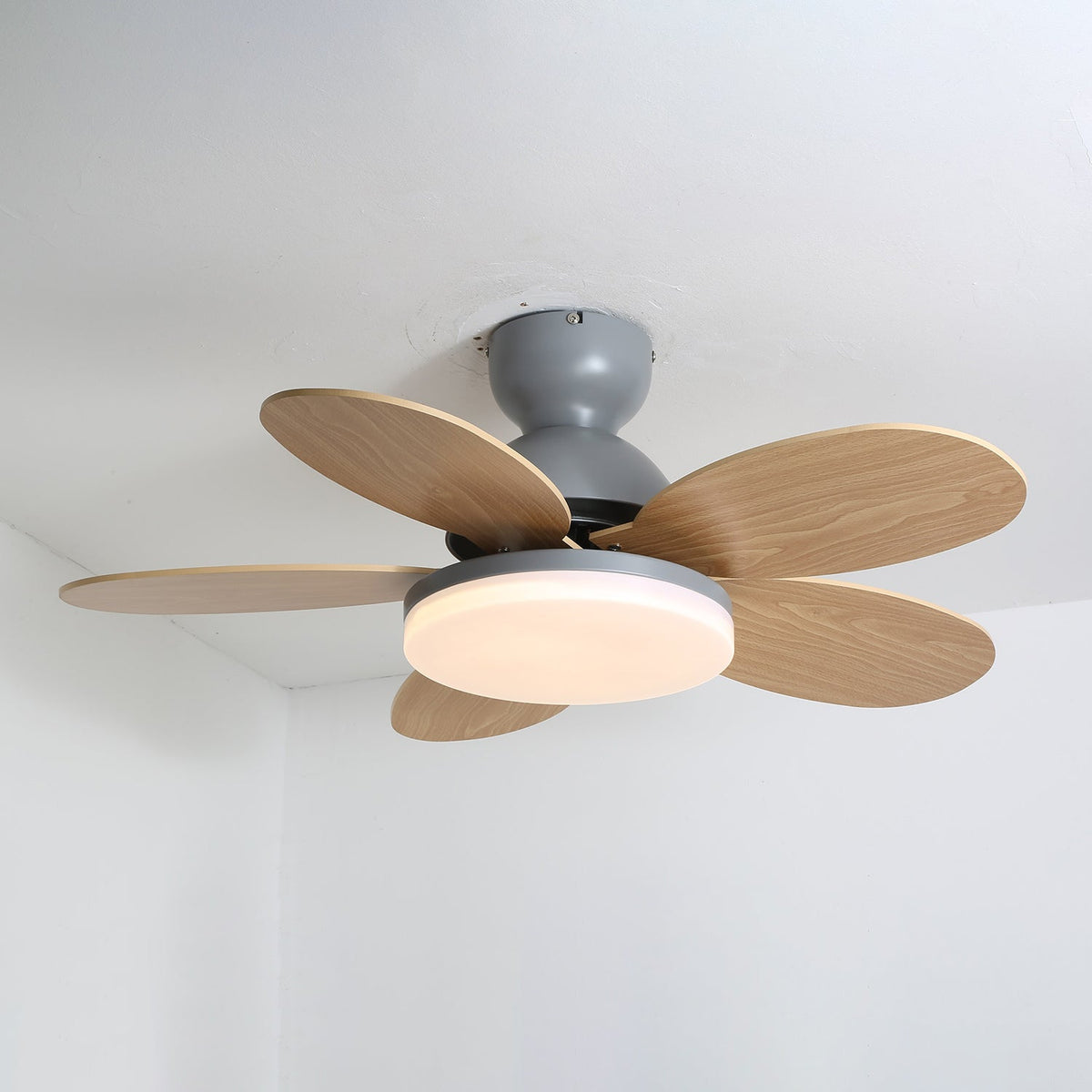 Petalo Ceiling Fan Light — product view 40