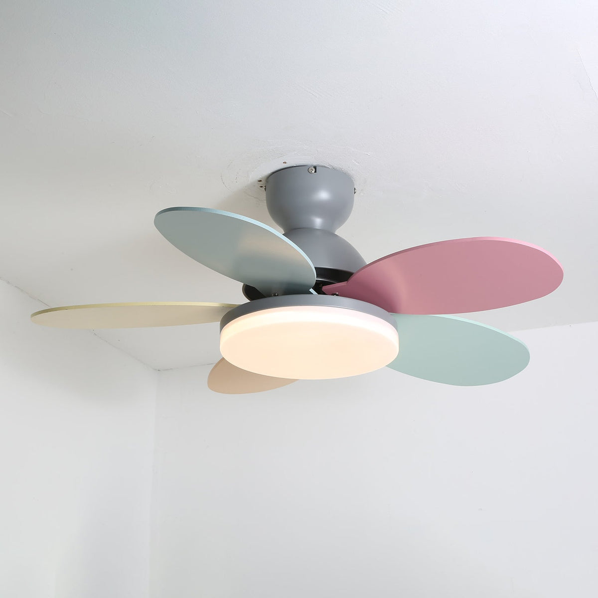 Petalo Ceiling Fan Light — product view 34