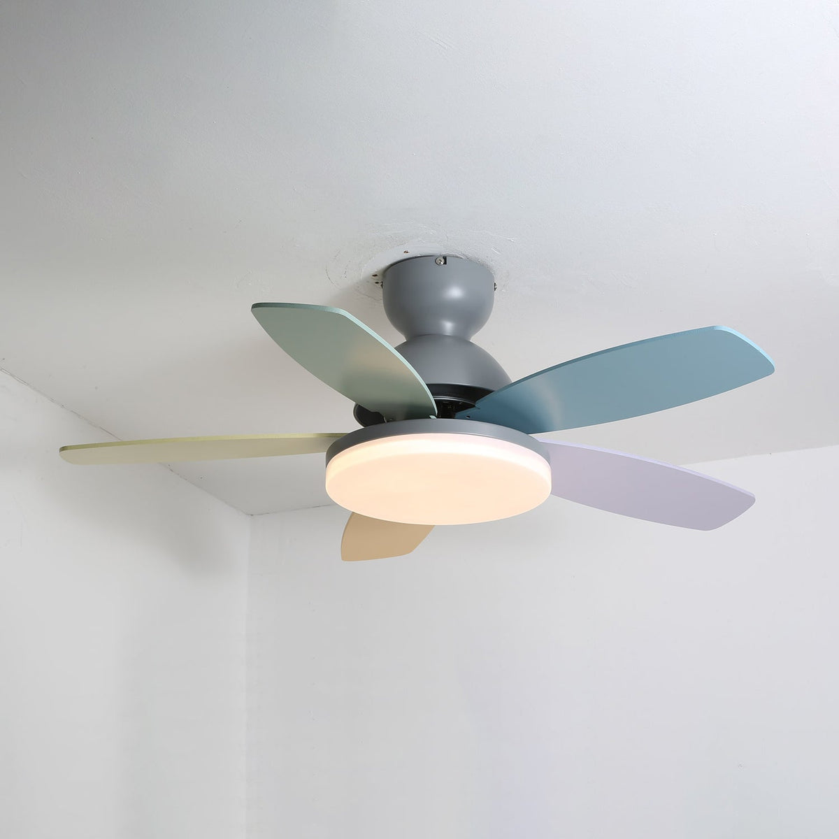 Petalo Ceiling Fan Light — product view 41