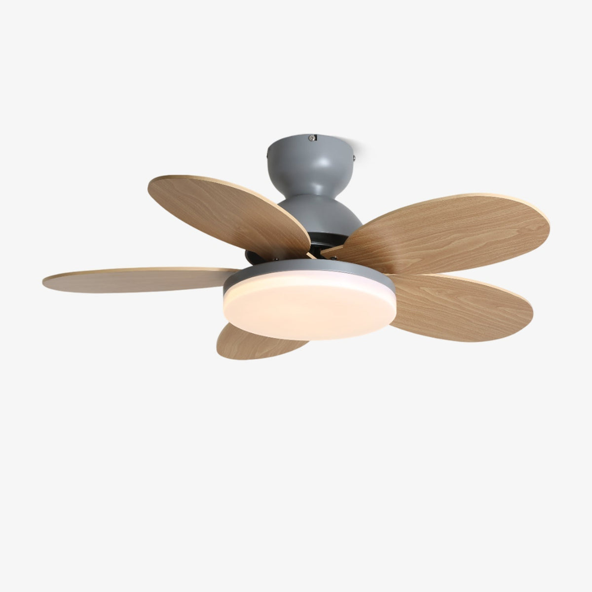 Petalo Ceiling Fan Light — product view 8