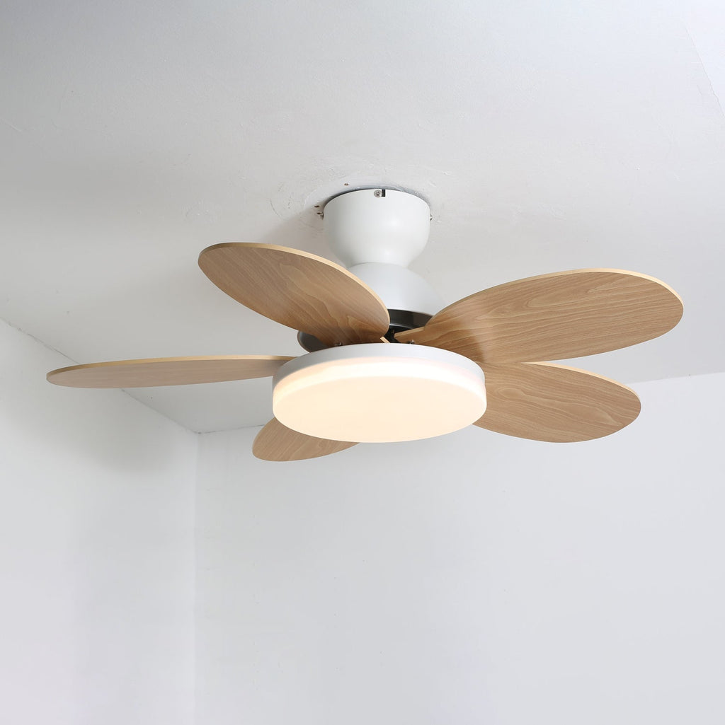 Petalo Ceiling Fan Light — product view 3