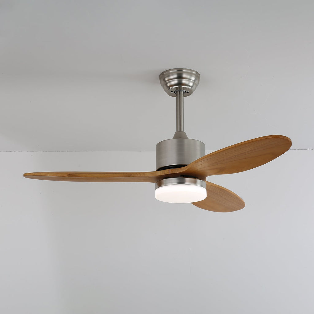 Polaris Ceiling Fan Light — product view 7
