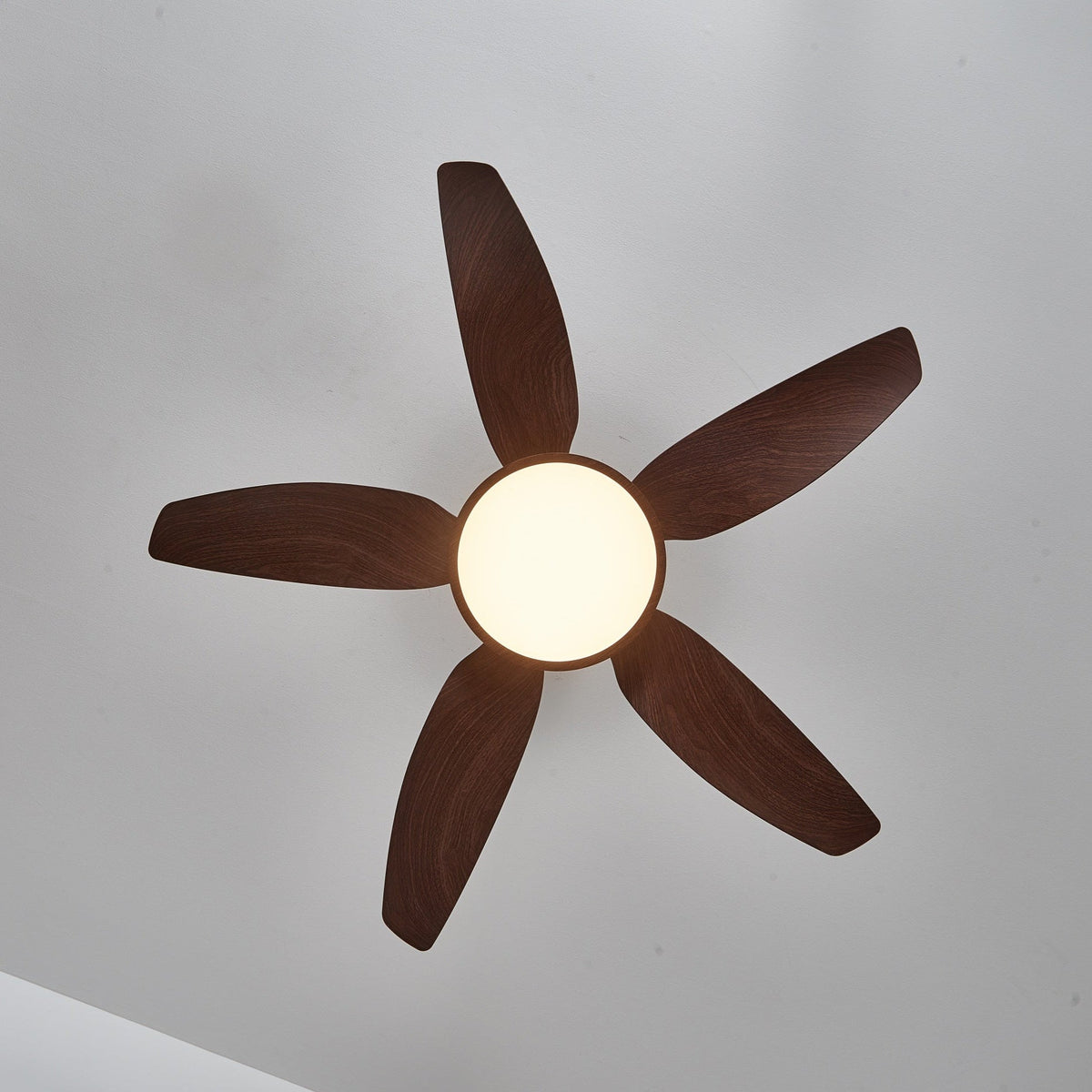 Sirocco Breeze Ceiling Fan Light — product view 8