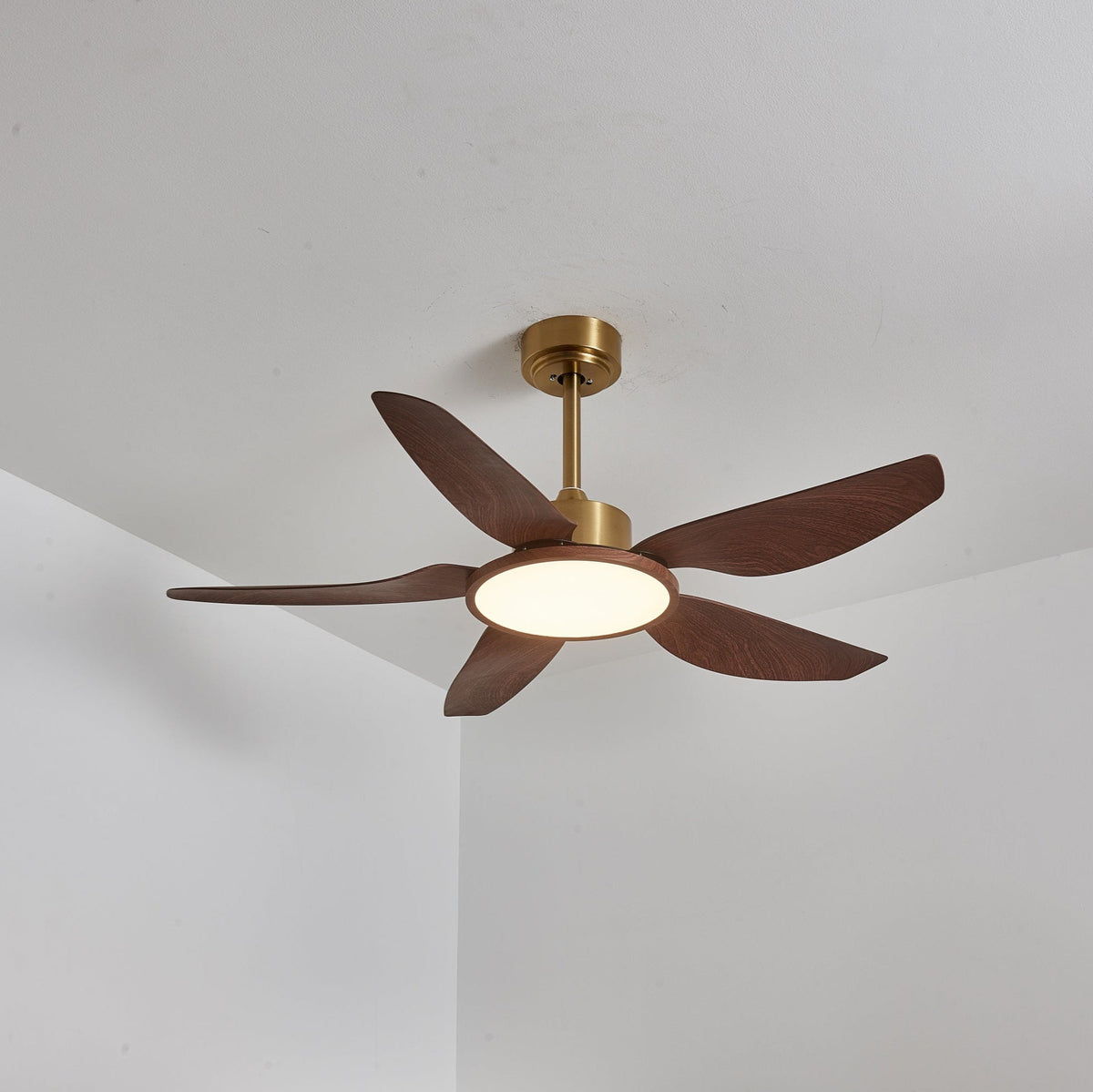 Sirocco Breeze Ceiling Fan Light — product view 14