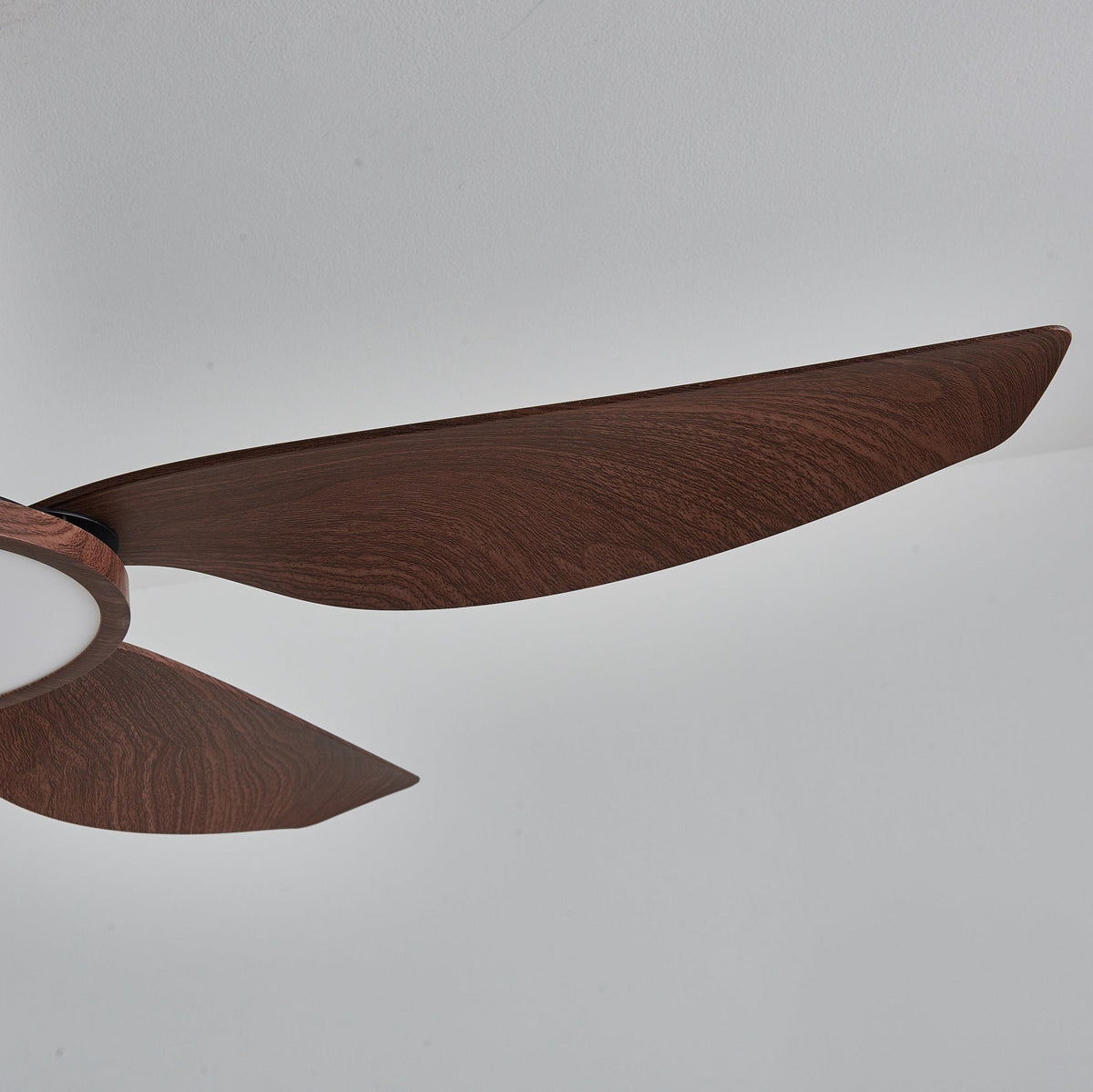 Sirocco Breeze Ceiling Fan Light — product view 4