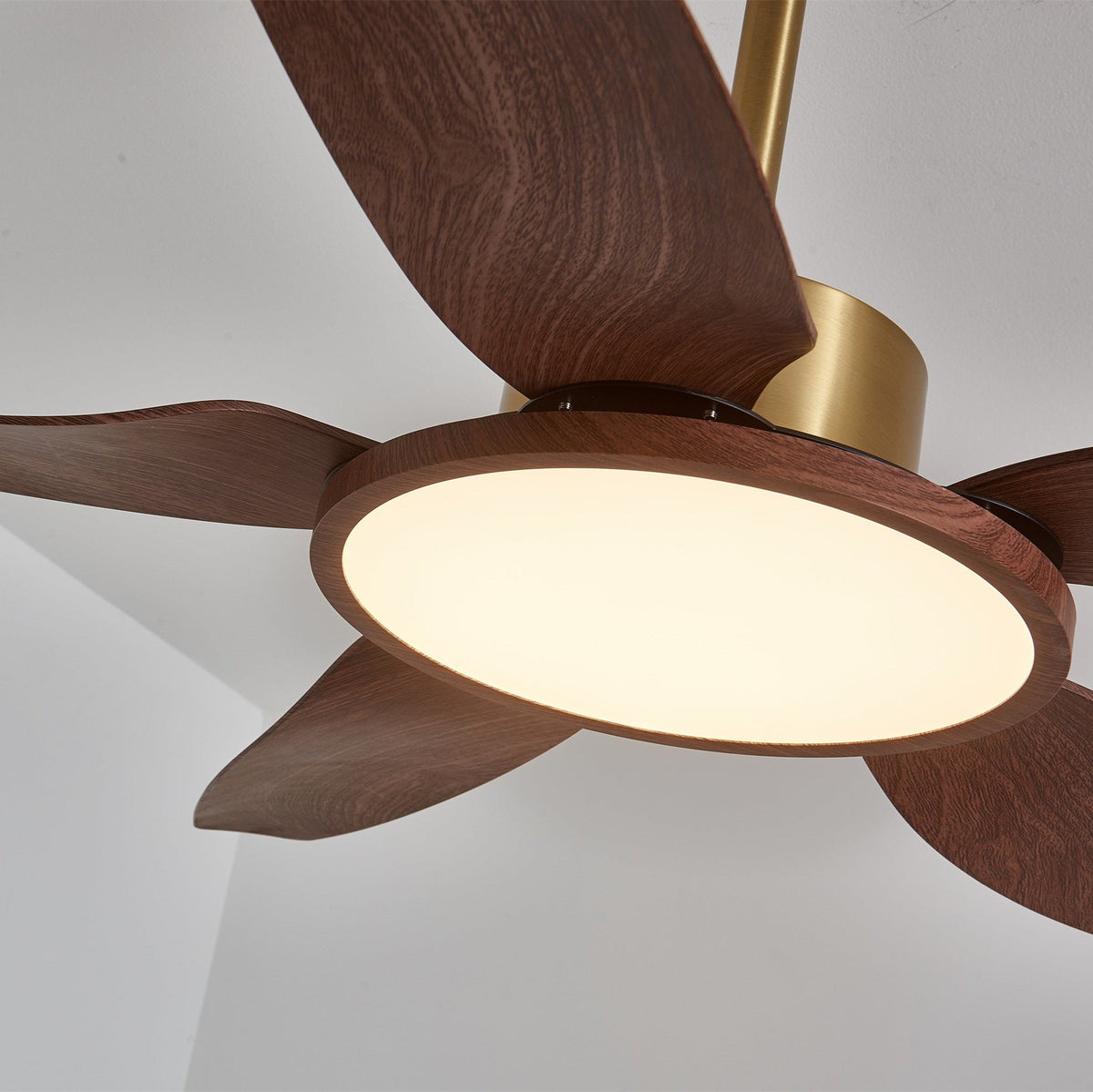Sirocco Breeze Ceiling Fan Light — product view 5
