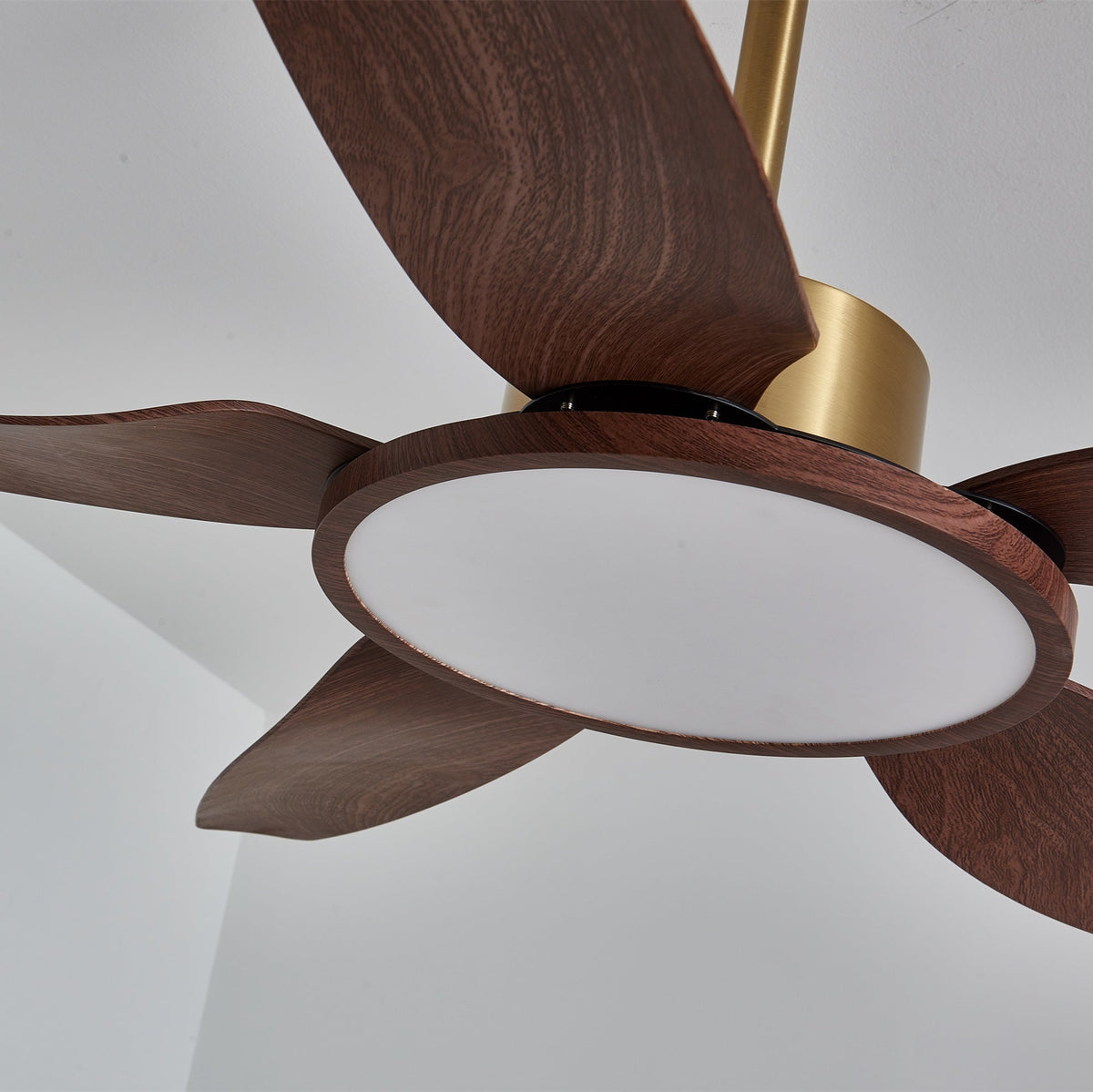 Sirocco Breeze Ceiling Fan Light — product view 6